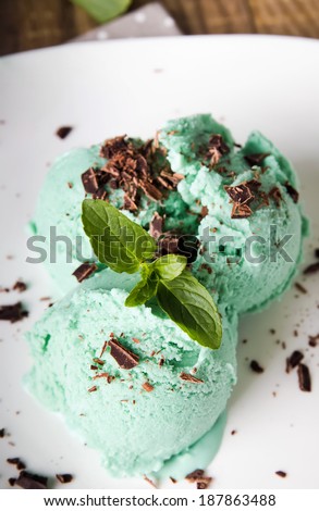 Mint ice cream with chocolate chips on the white plate close-up