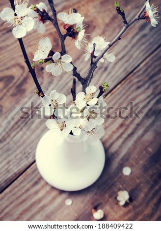 Apricot blooming brunches in the vase on the wooden table, toned photo