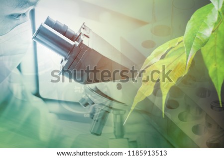 Green leaf texture. Leaf texture background ,droping and test tube ,cosmetic ,science concept