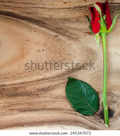 red rose on wooden plate  , vintage ,minimal ,space for text