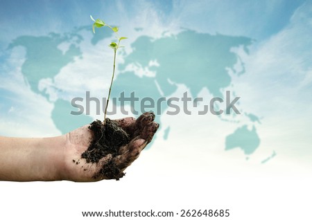 little plant with dirty mud on hand and sky background
