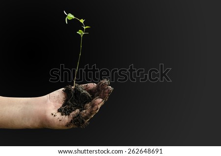 little plant with dirty mud on hand