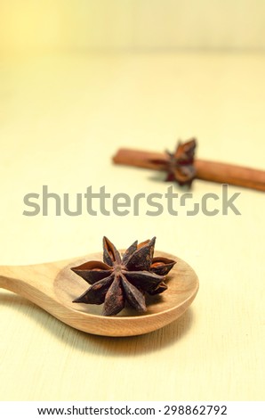 Chinese star anise and cinnamon stick on wood spoon and wood board