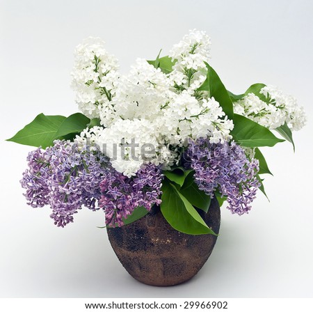 lilac bouquet in a vase