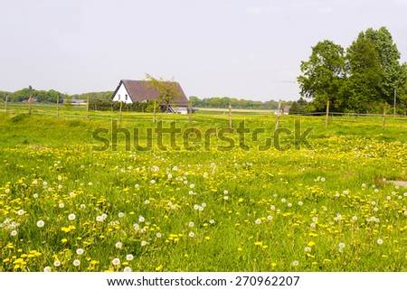 Spring meadows around a rural house, Germany