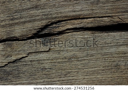 Floor, floor, wood, trees, timber