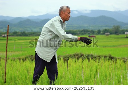 Farmers are the main occupation of the majority of the rural people in the country. Every household will help the rice to be sold to finance consumption spending. In August 2014 -6