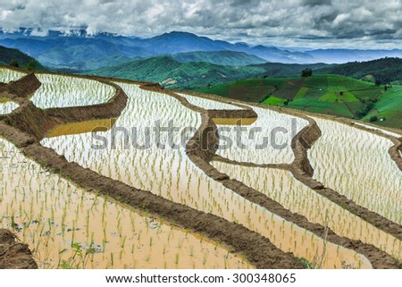 The rice terraces on the mountain of Thailand. Karen is the habitat of the plains is still alive.