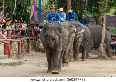 Elephant, The elephant show, one activity that people like to take children to show that Thailand Elephant Conservation Center, Lampang-January 9 2016.