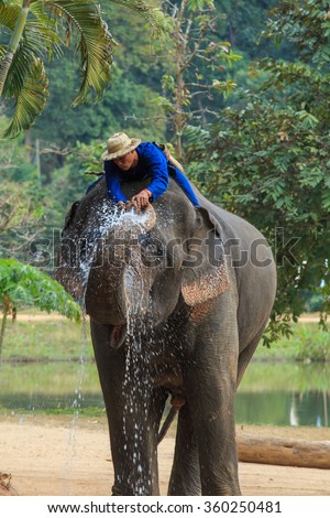 The elephant show, one activity that people like to show Thailand Elephant Conservation Center, Lampang-January 9 2016.