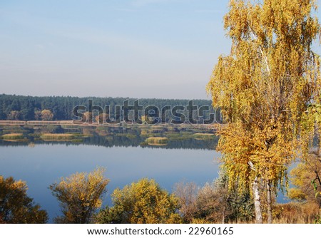 Yellow trees on background rivers