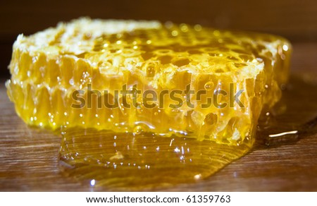 yellow  with cell close-up pour on honeycomb