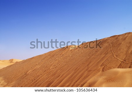 beautiful day in the dunes of Africa