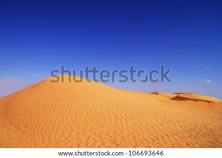 beautiful day in the dunes of Africa