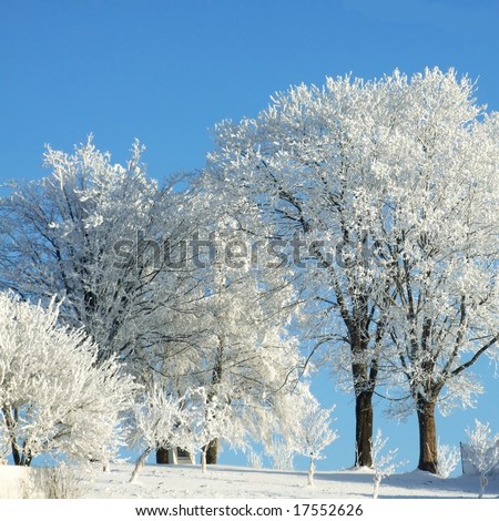 winter landscape wallpaper. stock photo : Winter landscape