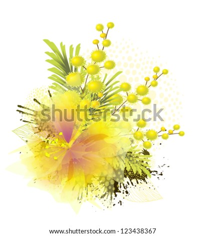Vector Illustration of mimosa