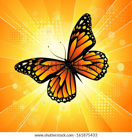 Orange butterfly on a being shone background