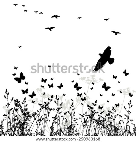 Silhouette of grass and flying birds. Vector
