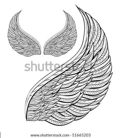 stock vector angel wing