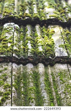 moss growing on old roof tiles