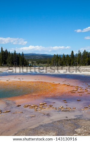 Colourful thermal spring located in the Grand Prismatic Spring area of Yellowstone National Park, Wyoming