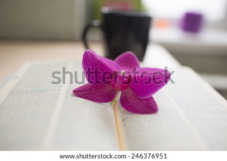 book is on the table, orchid and a cup of coffee with milk