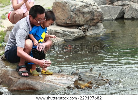QINHUANDAO, CHINA - JUNE 3, 2013: Daddy and his son feed fish in park of Shanhaiguan, China on June 3, 2013