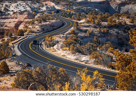 Road and autumn trees in Canyonlands National Park, Utah, USA