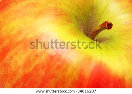 Close up of a red apple with stem