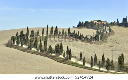 Tuscan villa and cypress trees, La Crete, Tuscany