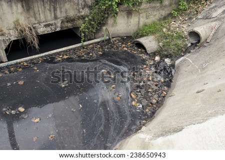 sewage water