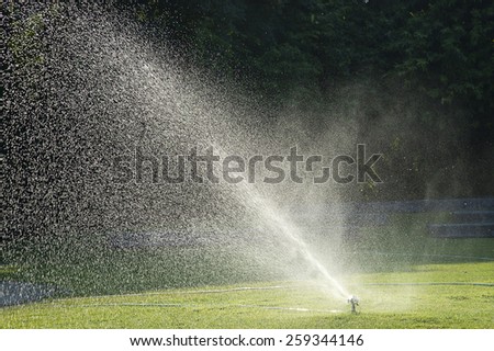 water spray on green grass