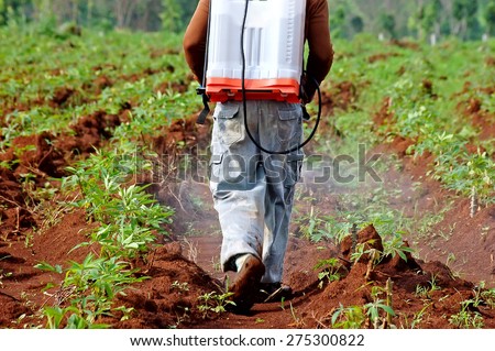 farmer spraying pesticide in the cassava field farmer spraying pesticide in the cassava field
