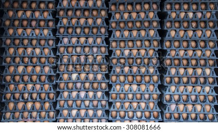 sort out/choose/ select with number 1/2/3 from size, fresh chicken egg in the plastic package from chicken farm/, thailand