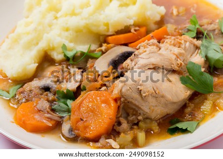 A meal of chicken cacciatore, braised chicken cooked with tomato, celery, carrot, onion, mushrooms and stock and served with mashed potatoes, viewed close-up.