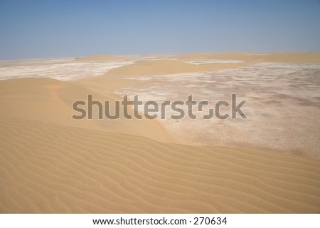 Sand dunes and sabkha salt marshes in Qatar, just on the fringes of the Empty Quarter desert.