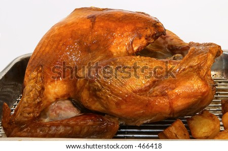 Roast turkey and potatoes still in the roasting tray