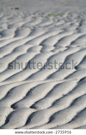 Ripple marks in the mud of a mangrove swamp, very shallow depth of field, focus on the foreground