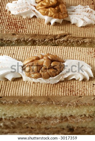 Slices of delicious coffee and walnut sponge cake, macro. Focus from front to back