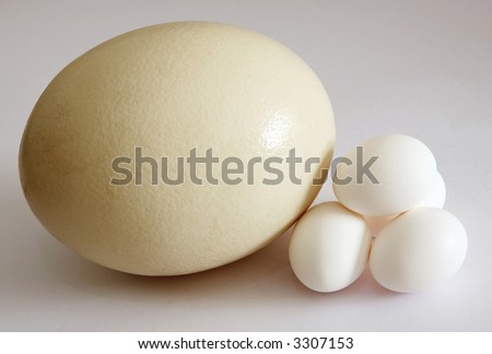 An ostrich egg with four hens' eggs - showing the diversity of the natural world.