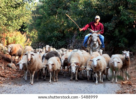 stock-photo-a-greek-shepherd-and-his-donkey-moving-his-flock-through-the-cretan-mountains-summer-5488999.jpg