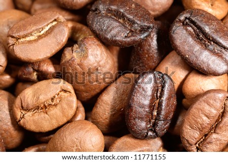 A blend of roasted Brazilian coffee beans, some light some dark, for making a medium strength coffee. Extreme magnification
