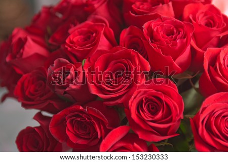 red natural roses background