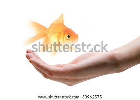 Fish With Human