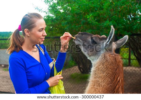 Young attractive woman feeding lama