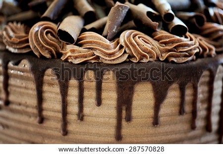 Closeup of Chocolate Cake Topped with Chocolate Curls and Drizzled Fudge Icing