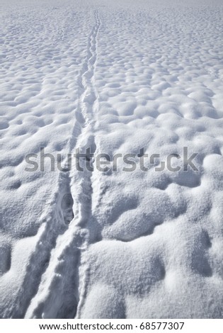 Footsteps in misty snow