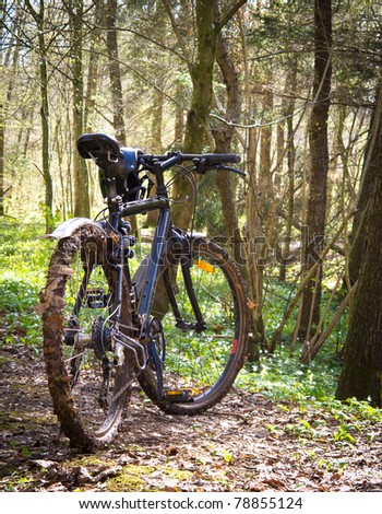 Dirty mountain bike in the forest