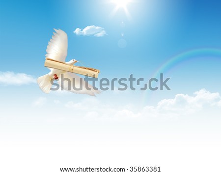 A free flying white dove with a letter isolated on a blue sky background.