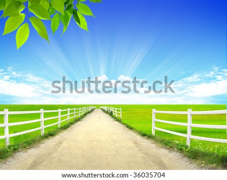 Nice picture with a green plants with a long path and cloud background